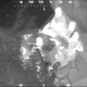 photo du film Il n'y aura plus de nuit