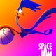 photo du film Space Jam : Nouvelle ère