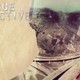 photo de la série True Detective