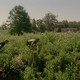 photo de la série True Detective