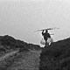 photo du film Two Years at Sea