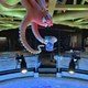 photo du film Le Monde de Dory