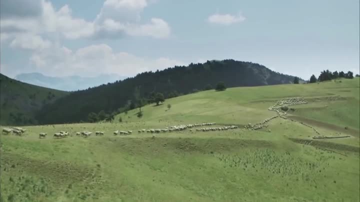 Extrait vidéo du film  La Gueule du loup