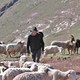 photo du film La Gueule du loup
