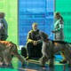 photo du film La Nouvelle vie de Paul Sneijder