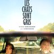 photo du film Tous les chats sont gris