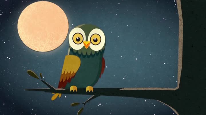 Extrait vidéo du film  La Chouette, entre veille et sommeil