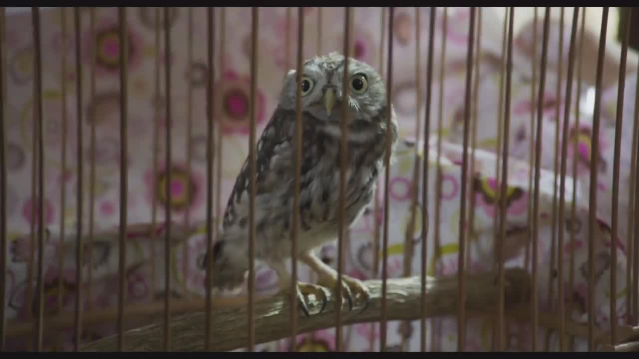 Un extrait du film  Demain et tous les autres jours