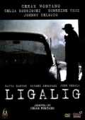 voir la fiche complète du film : Ligalig