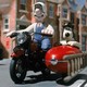 photo du film Wallace & Gromit : cœurs à modeler