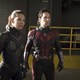 photo du film Ant-Man et la Guêpe