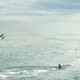 photo du film En eaux troubles