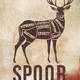 photo du film Spoor