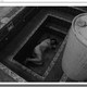 photo du film Unfriended : Dark Web