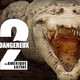 photo de la série 72 animaux dangereux en amérique latine