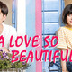photo de la série A love so beautiful