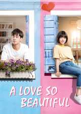 A Love So Beautiful