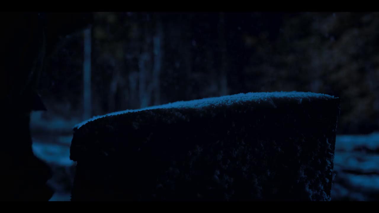 Un extrait de la série  Stranger things
