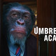 photo de la série Umbrella academy