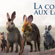 photo de la série La colline aux lapins