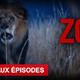 photo de la série Zoo