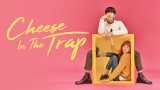 Cheese in the trap
