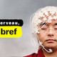 photo de la série Le cerveau, en bref