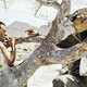 Photo du film Catch 22 en cours de validation